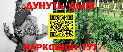 прущие грибы Севастополь