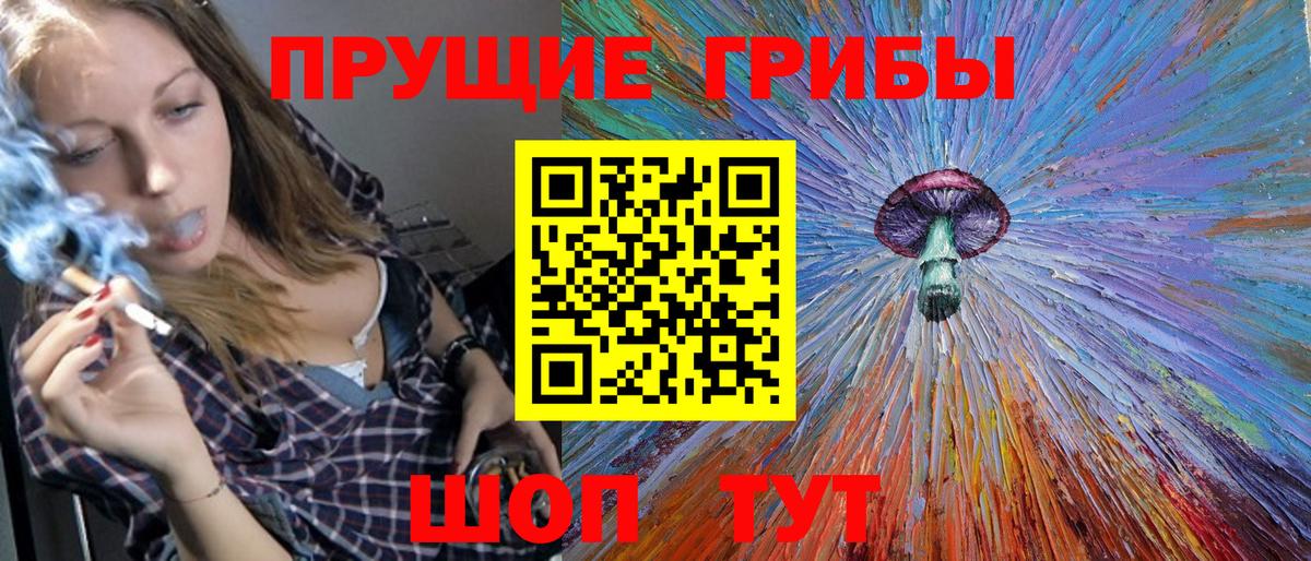 Псилоцибиновые грибы Psilocybine cubensis Усть-Илимск